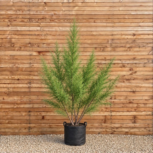 Künstlicher Nadelbaum in einem Pflanzsack vor einer Holzwand.