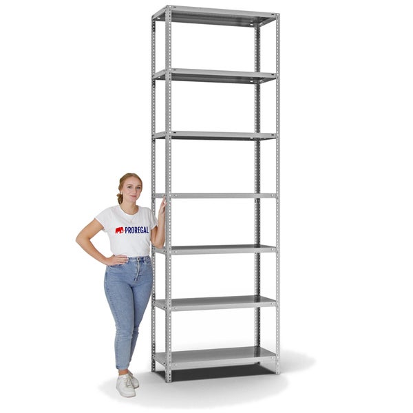 PROREGAL Fachbodenregal Schraubsystem Light-Duty Grundregal HxBxT 300 x 100 x 40 cm 7 Ebenen Fachlast 125 kg Beidseitig Nutzbar Verzinkt