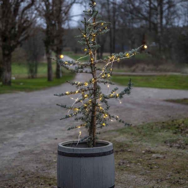 Dekorierter Baum mit Lichterkette in Kübel