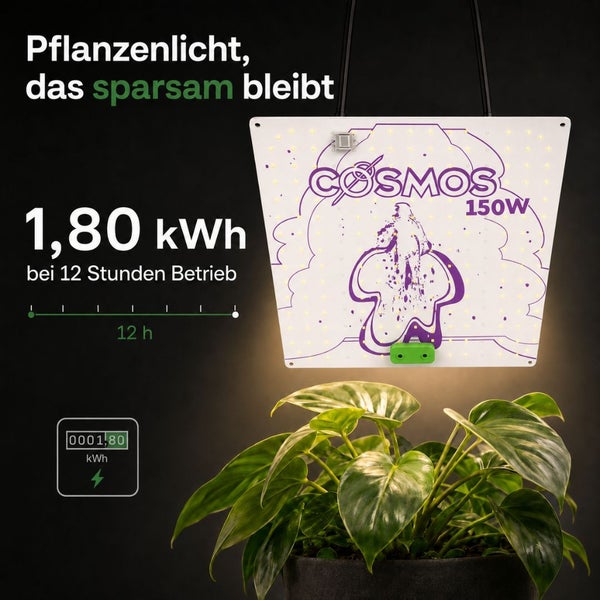 Cosmos 150 Watt LED Pflanzenlampe über einer Zimmerpflanze mit Angabe zum Stromverbrauch von 1,80 Kilowattstunden pro 12 Stunden Betrieb.