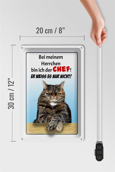 Blechschild Spruch 20x30cm Katze bei meinem Herrchen Chef