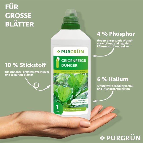 Purgrün Geigenfeige-Dünger 1 Liter