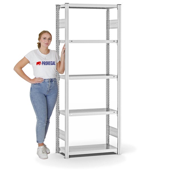 PROREGAL Fachbodenregal Stecksystem T-Profil Light-Duty Grundregal HxBxT 200 x 75 x 30 cm 5 Ebenen Fachlast 150 kg Beidseitig Nutzbar Lichtgrau