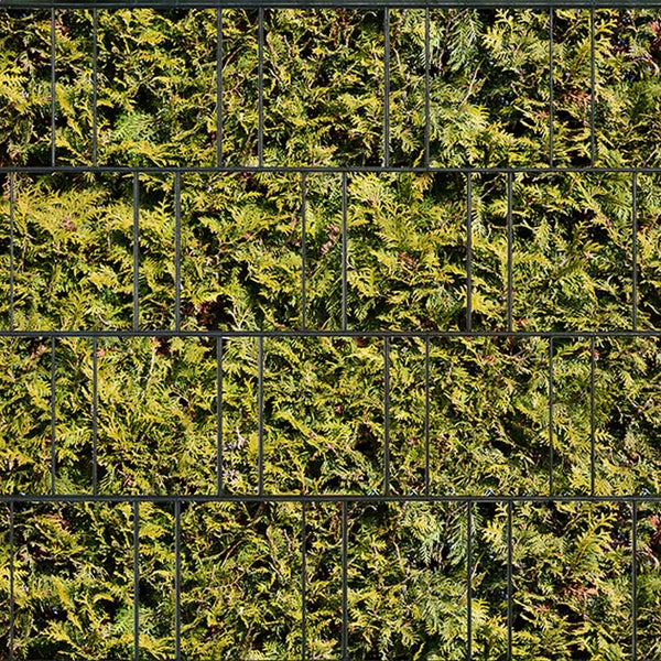 Sichtschutzzaun mit grünen Pflanzen