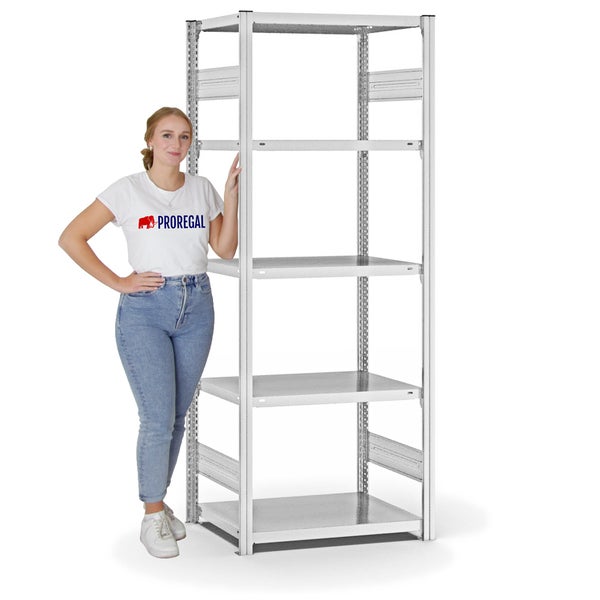 PROREGAL Fachbodenregal Stecksystem T-Profil Light-Duty Grundregal HxBxT 200 x 75 x 50 cm 5 Ebenen Fachlast 140 kg Beidseitig Nutzbar Lichtgrau