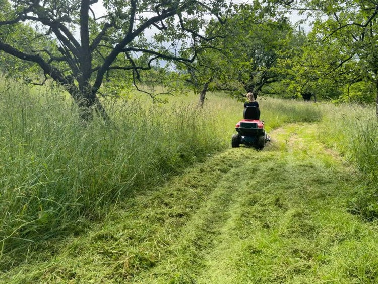 Aufsitzmäher beim Mähen von hohem Gras auf einer Wiese mit Bäumen.