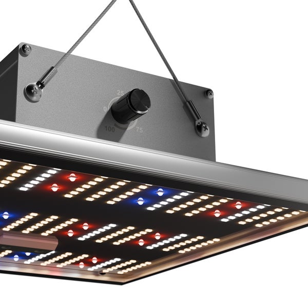 Growbox Komplett Set Classic S 75.2 - für 1 Pflanze, 60x60x160cm, 75W LED