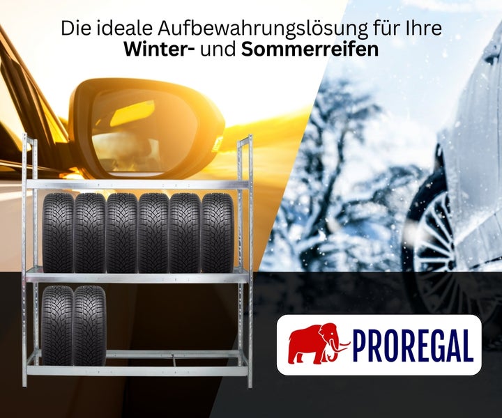 Verzinktes Reifenregal von Proregal zur Lagerung von Sommerreifen und Winterreifen vor einer sommerlichen und winterlichen Kulisse.