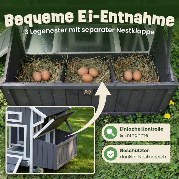 Grauer Hühnerstall aus Holz mit weißem Rahmen und Freilaufgehege in einem hellen Garten mit Hühnern und Blumen.