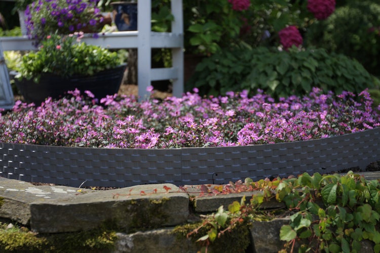 Garten mit Blumenbeet und Rasenkante