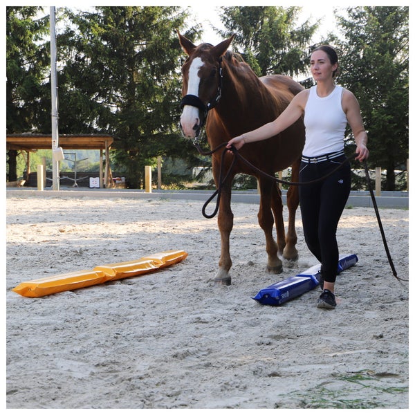 Pferd und Frau trainieren mit Cavaletti auf einem Reitplatz.