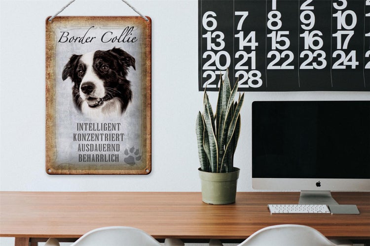 Blechschild Spruch 20x30cm Border Collie Hund Schild