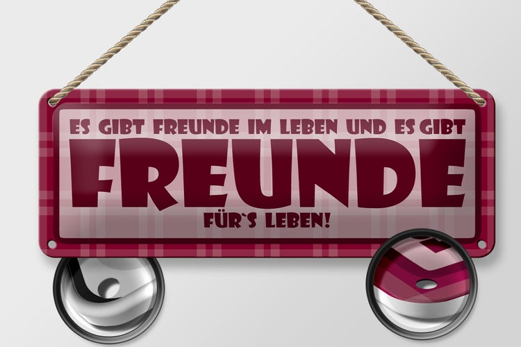 Blechschild Spruch 27x10cm Es gibt Freunde im Leben Dekoration