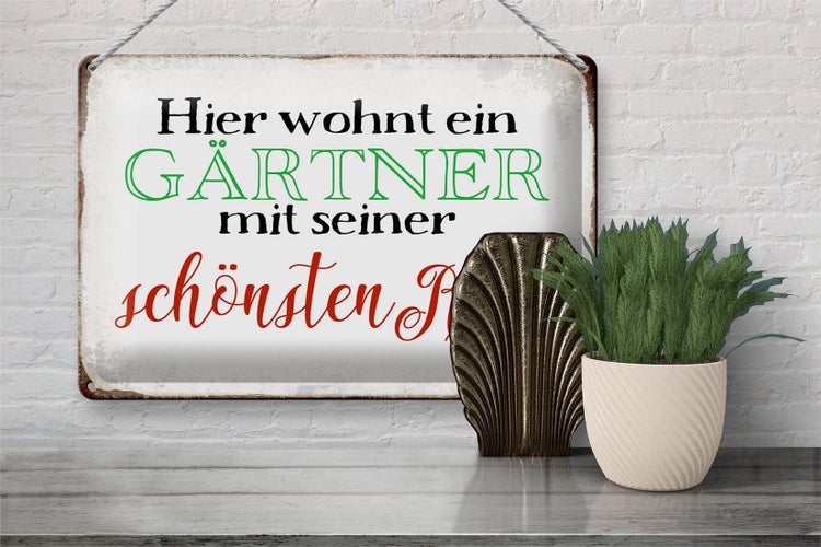 Blechschild Spruch 30x20cm hier Gärtner mit schönster Rose