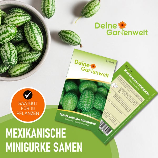 Deine Gartenwelt Logo, Samentüte für Mexikanische Minigurke Melothria scabra, Saatgut für 10 Pflanzen, kleine gemusterte Früchte in einer Schale.