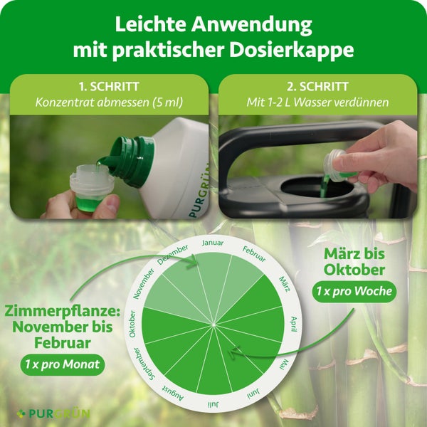 Anwendung von Flüssigdünger in zwei Schritten: Dosieren des Konzentrats, Verdünnen mit Wasser und ein Anwendungsplan nach Monaten. Purgrün Logo.
