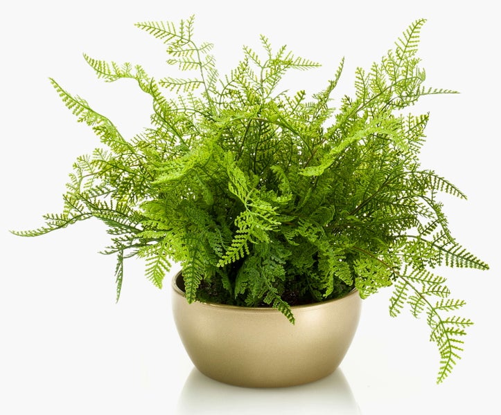 Künstlicher Farn mit grünen Wedeln und fein gefiederten Blättern.