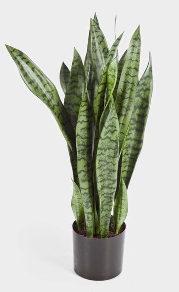 Künstlicher Bogenhanf Sansevieria in einem schwarzen Topf, aufrecht stehende Blätter mit dunkelgrüner Maserung.
