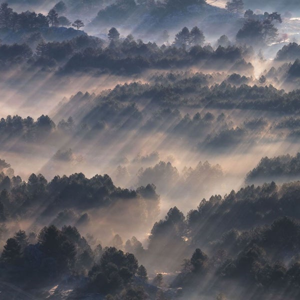Luftaufnahme eines bewaldeten Tals im Nebel mit Sonnenstrahlen