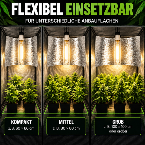 Drei verschiedene Growboxen mit Pflanzen und Pflanzenlampe fuer unterschiedliche Anbauflaechen von kompakt bis gross.