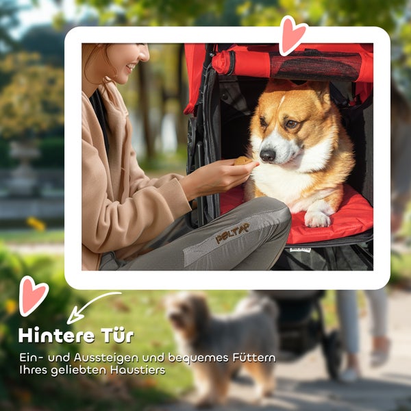 Hundebuggy mit hinterer Tür für einfachen Ein- und Ausstieg und bequemes Füttern eines Corgis im Freien.