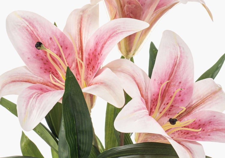 Künstliche Lilie mit grünen Blättern und rosa-weiß gesprenkelter Blüte.