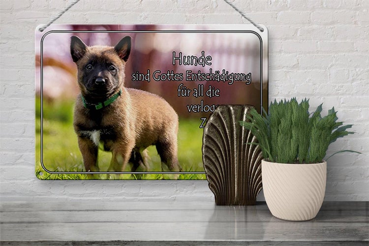 Blechschild Spruch 30x20cm Hunde sind Gottes Entschädigung