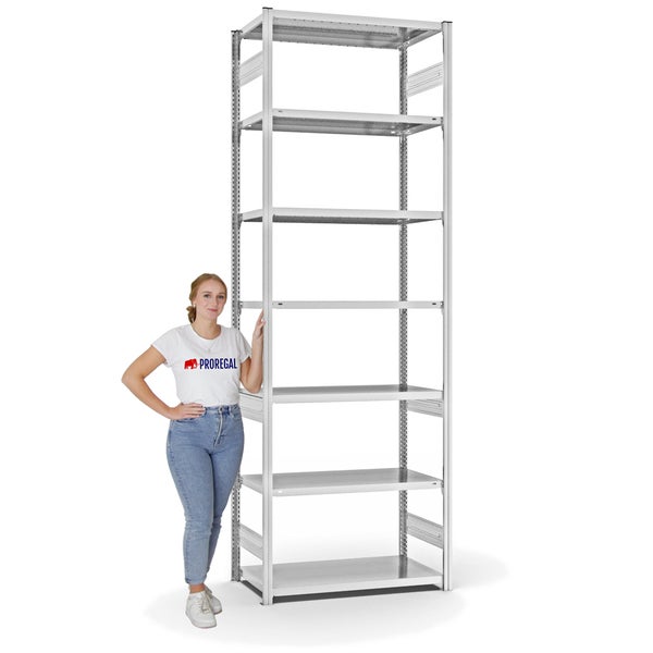 PROREGAL Fachbodenregal Stecksystem T-Profil Medium-Duty Grundregal HxBxT 300 x 100 x 50 cm 7 Ebenen Fachlast 230 kg Beidseitig Nutzbar Lichtgrau