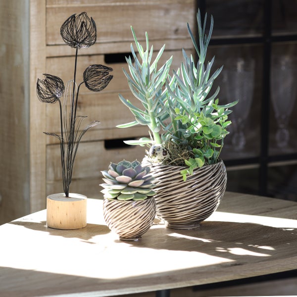Dekorative Anordnung mit Sukkulenten in strukturierten Keramiktöpfen und einer Drahtblume auf Holzsockel auf einem Holztisch.