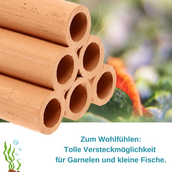 Tonröhren als Versteckmöglichkeit für Garnelen und kleine Fische im Aquarium
