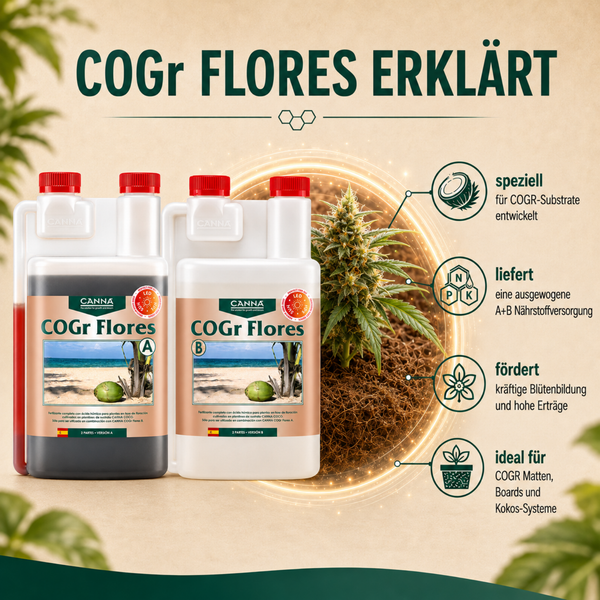 Infografik zeigt Canna COGr Flores A und B Dünger für Kokossubstrate mit Hinweisen zur Anwendung und Nährstoffzusammensetzung für reiche Ernten.