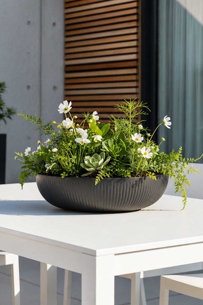 Runde Pflanzschale in Anthrazit mit Rillenstruktur, bepflanzt mit weißen Blumen und Sukkulenten auf einem weißen Gartentisch.