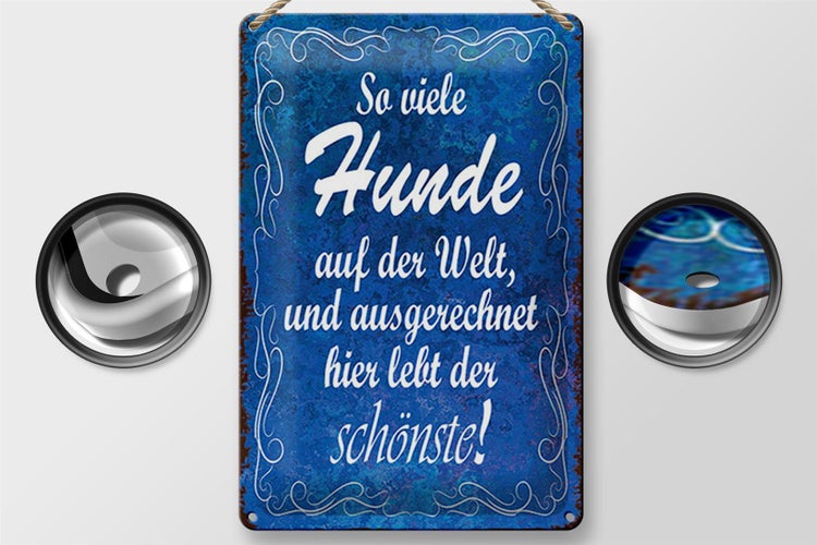 Blechschild Spruch 20x30cm so viele Hunde auf der Welt
