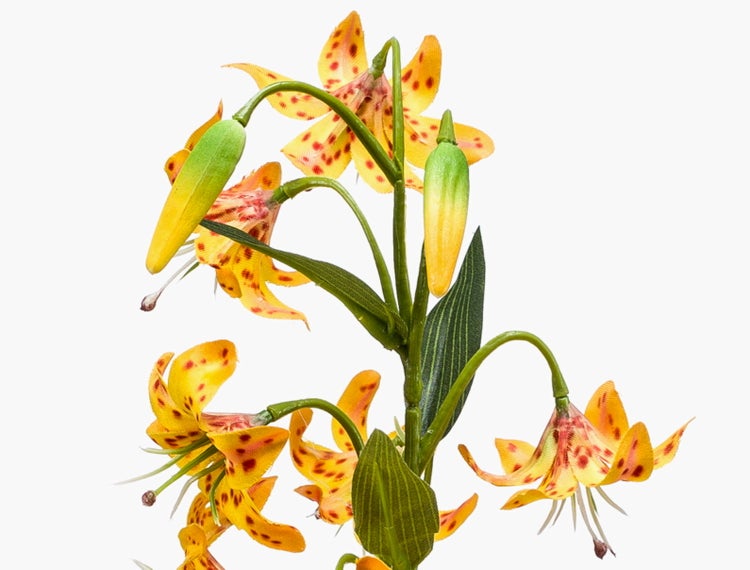 Künstliche Tigerlilie mit gelben gepunkteten Blüten und grünen Blättern.