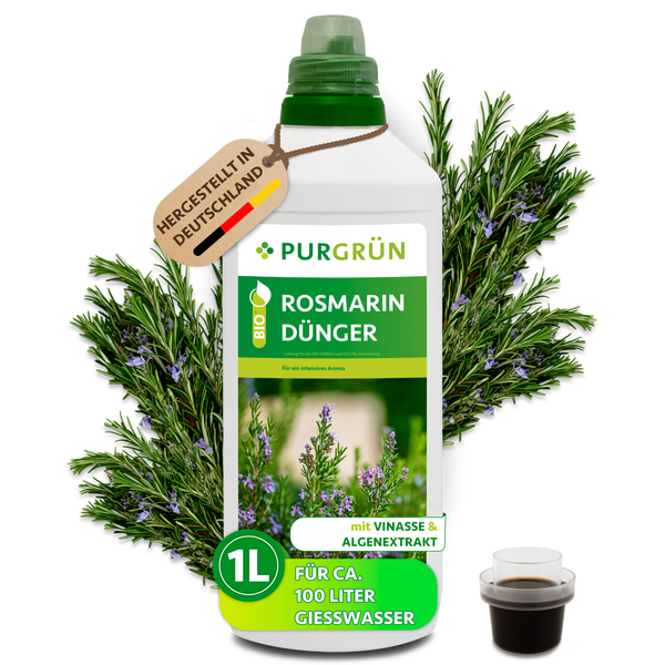 Ein lächelnder Mann mit Strohhut neben einer Flasche Purgrün Bio Rosmarin Dünger 1 Liter für gesunde Pflanzen im Innenbereich und Außenbereich.