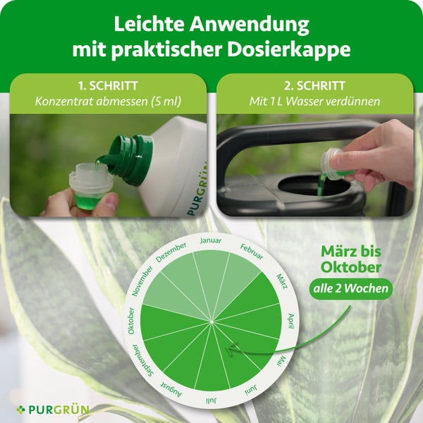 Anwendung: 5 Milliliter Konzentrat abmessen, mit 1 Liter Wasser mischen. Anwendung von März bis Oktober alle 2 Wochen. Purgrün Logo.