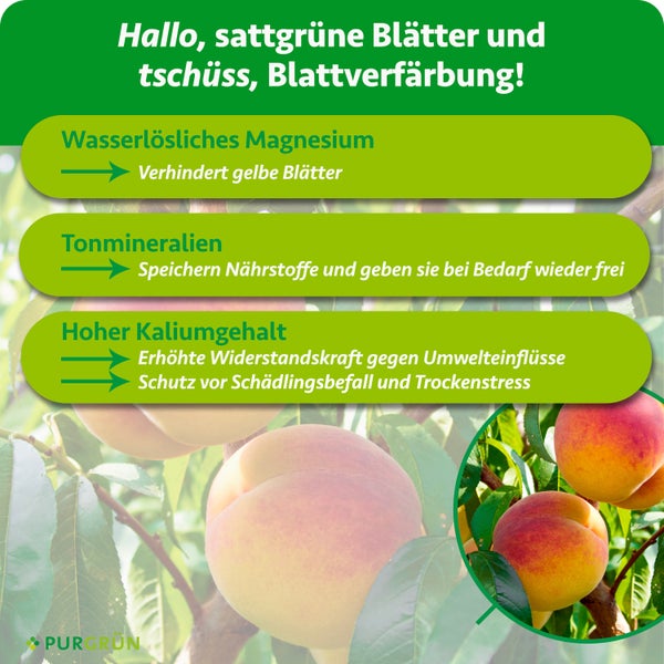 Purgrün Bio Pfirsichbaum Dünger, 1 Kilogramm feines Granulat für circa 2 bis 3 Bäume, zur Neupflanzung und Pflegedüngung, Purgrün Logo.