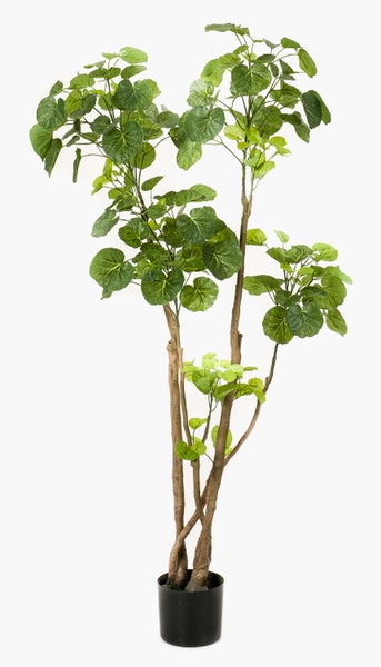 Künstliche Pflanze mit runden grünen Blättern und sichtbarer Blattmaserung.