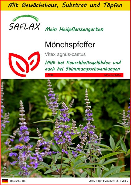 SAFLAX Anzucht Set - Mönchspfeffer - Vitex agnus-castus - 30 Samen - Mit Mini-Gewächshaus, Anzuchtsubstrat und 2 Töpfen
