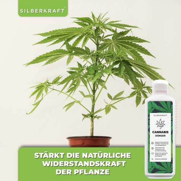 SILBERKRAFT Cannabis Dünger – Für Hanfpflanzen – NPK Flüssigdünger – 1 Liter