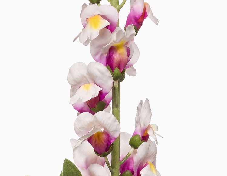 Kunstblume Löwenmäulchen LIMORG, Creme-pink, 80cm - Künstliche Blume