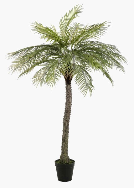 Nahaufnahme einer künstlichen Palme mit strukturiertem Stamm und langen grünen Palmwedeln mit spitzen Blättern.
