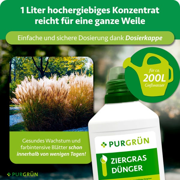 Purgrün Ziergras Dünger Konzentrat 1 Liter, reicht für circa 200 Liter Gießwasser, mit Dosierkappe, gesundem Ziergras und Purgrün Logo.