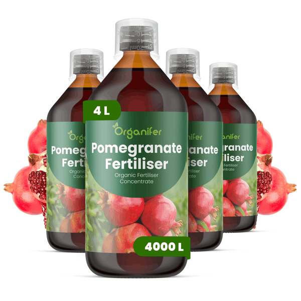 Organifer Granatapfel-Dünger, organisches Düngerkonzentrat, vier Flaschen zu je 4 Liter für 4000 Liter Gießwasser.