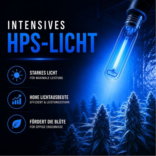 HPS-Pflanzenlampe bietet intensives Licht, hohe Effizienz und fördert die Blüte für üppige Ergebnisse bei Zimmerpflanzen.