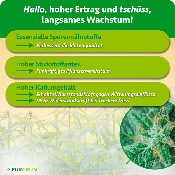 Infografik über die Vorteile von Pflanzendünger mit Spurennährstoffen, Stickstoff und Kalium für gesundes Wachstum von Purgrün.