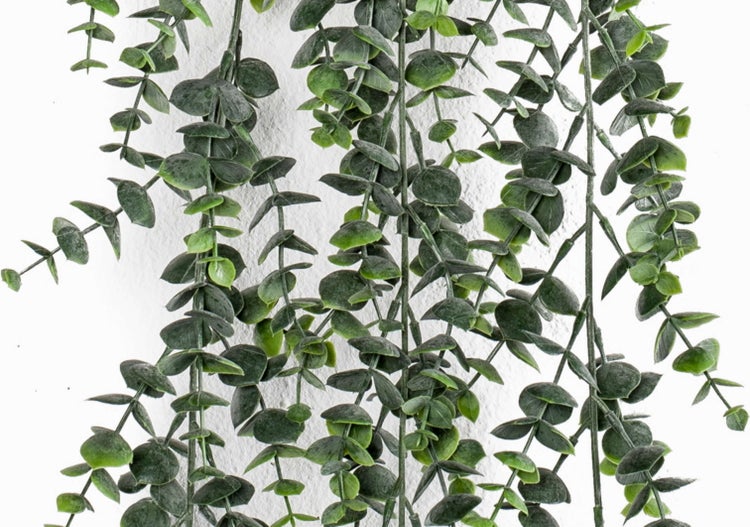 Künstliche grüne Eukalyptus-Hängepflanze mit kleinen runden Blättern an mehreren Stielen.