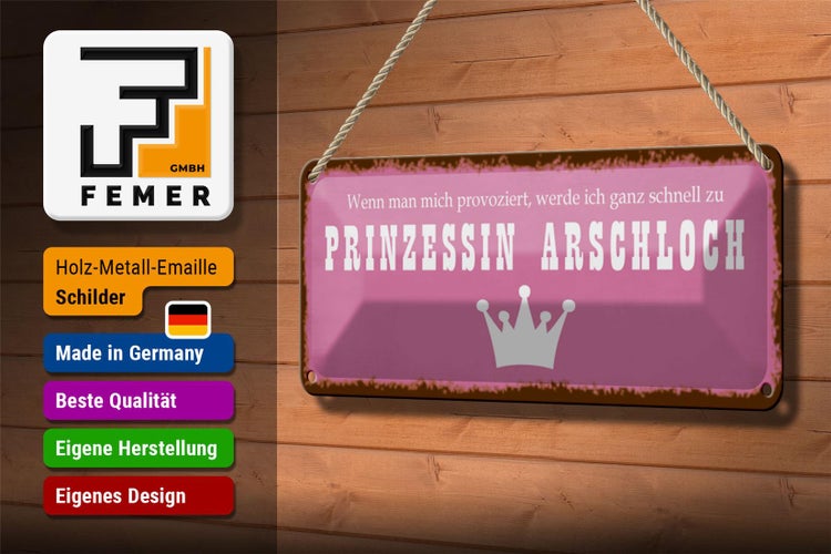 Blechschild Spruch 27x10cm ich zu Prinzessin Arschloch Dekoration