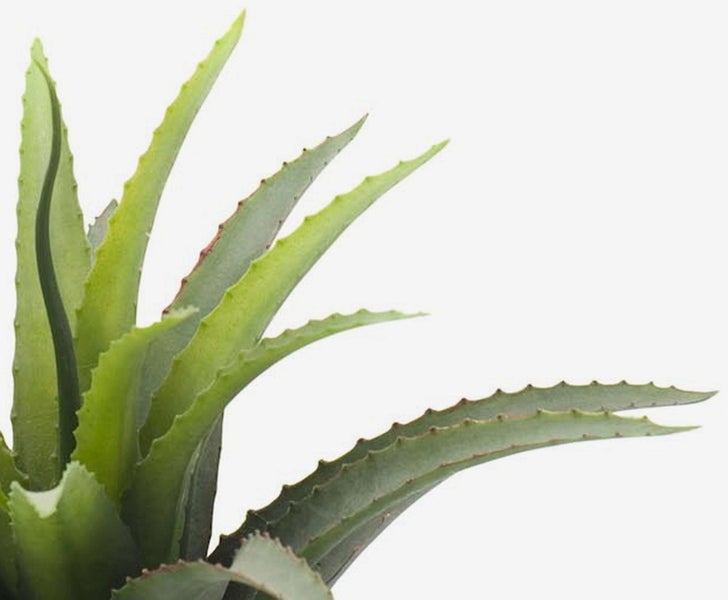 Künstlicher Bonsai Kiefer, Detailansicht der grünen Nadeln und der braunen Zweige.