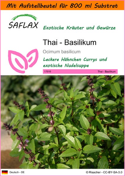SAFLAX Garden in the bag - Thai - Basilikum - Ocimum basilicum - 200 Samen - Mit Anzuchtsubstrat im praktischen, selbst aufstellenden Beutel